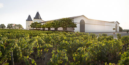 Chateau Lilian Ladouys Weinberge